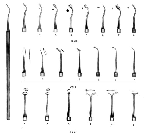 dental tools names